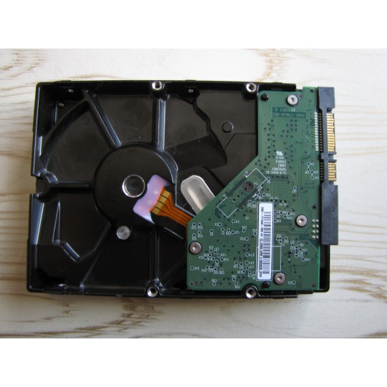 HDD INTERNAL WD 500GB / هارد دیسک اینترنال وسترن پی سی 500 گیگا بایت