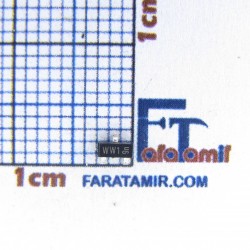 دیود شاتکی | Diode Schottky WW1 (bat54c)